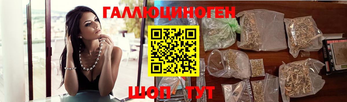 Псилоцибиновые грибы Psilocybine cubensis  Вход с VPN  Новоуральск 